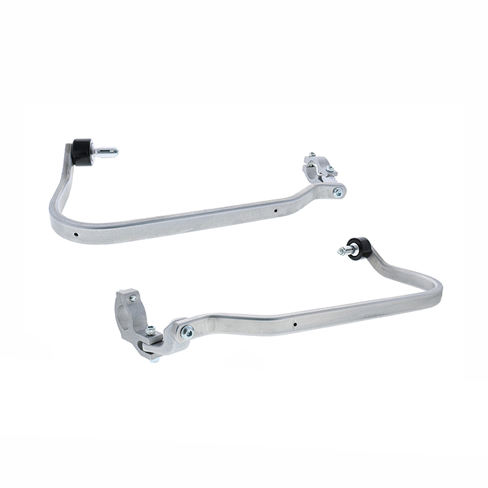 Daisy on the Ohoopee